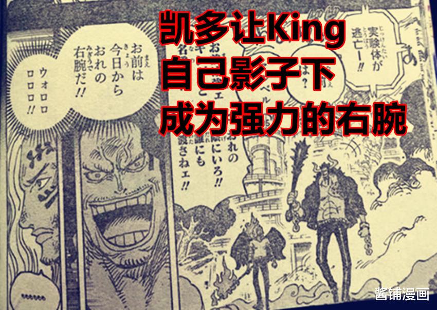 凱多|海賊王1035話，King側臉有特殊圖騰，他是凱多的第一個好伙伴