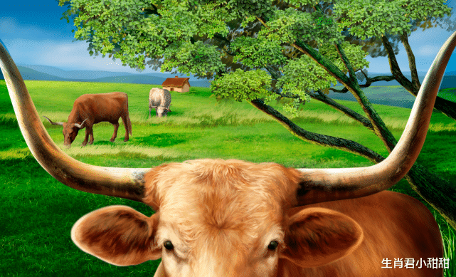 大连|控制自身情绪，在职场中努力学习和提升自己，属牛人终会看到回报