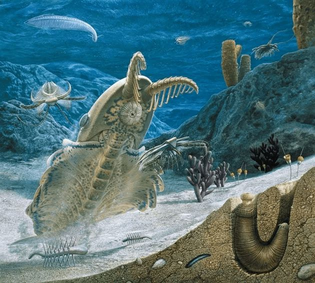 奥陶纪|奥陶纪大灭绝，我们星球的第一次死亡