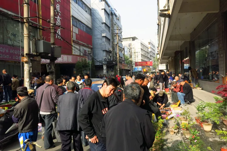 蚌埠论坛 险被取缔？蚌埠这里每周日都会出现……网友热议：留点烟火气！