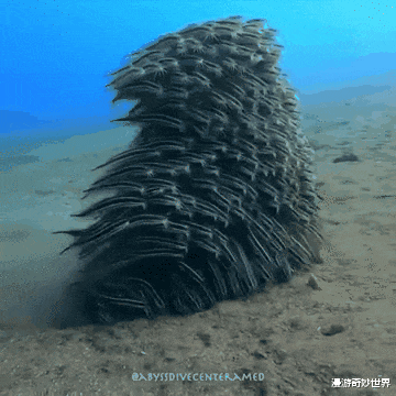 漫游奇妙世界|明明很普通的照片，看了却会觉得害怕…