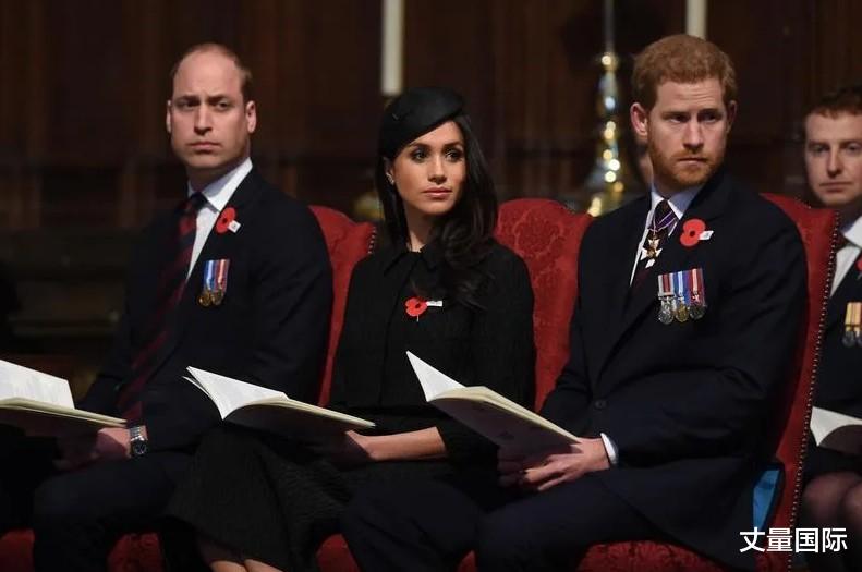 BBC|BBC纪录片“洗白梅根霸凌”爆威廉黑料，英女王震怒扬言封杀