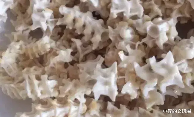 文玩|蛇骨能辟邪?还能盘出牛筋红?