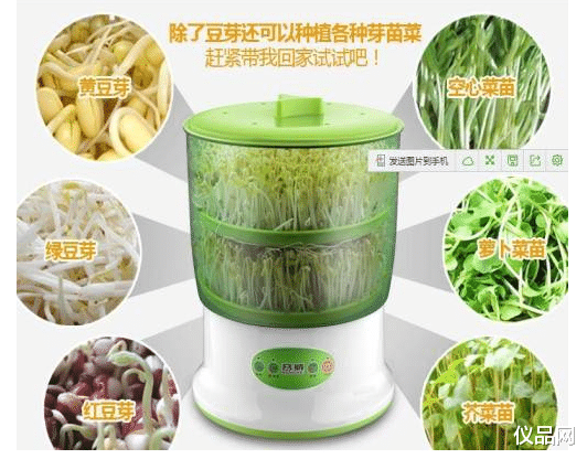 曾经以为鸡肋的豆芽机,没想到妙用多多,功能强大到再也不想扔了