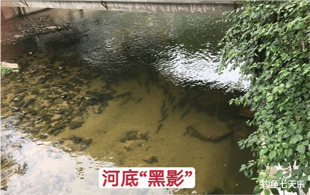 郑州|到处都不让钓鱼，郑州却做出榜样！河道划定垂钓区，钓友直呼过瘾