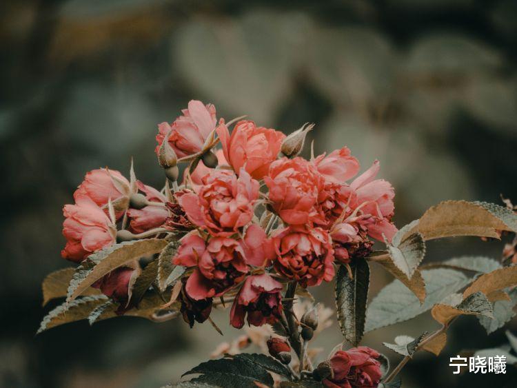 宁晓曦 天蝎座在情场的几个加分项