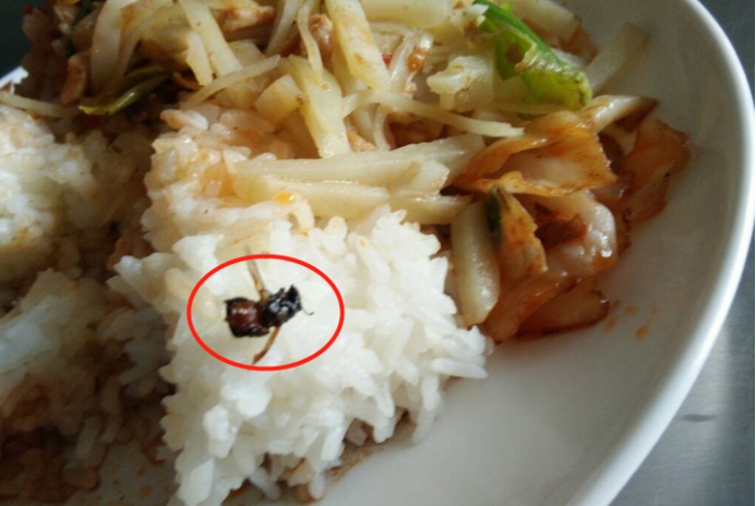 永州 湖南永州一起因一只苍蝇酿成的血案