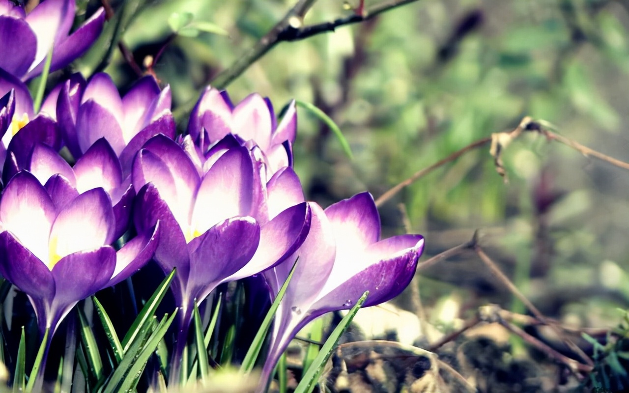 李嘉欣|不管你做人多没心眼,都别跟外人透露这几件私密事,以免吃哑巴亏