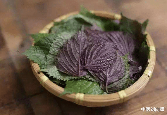 陈皮|咽中有痰？解读一剂张仲景名方，可疏肝解郁、行气散结，降逆化痰