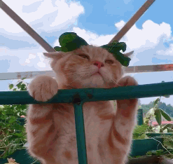 |“爬山的过程中消耗体力不少，于是看到眼前这一幕！”哇哈哈，从哪下口？