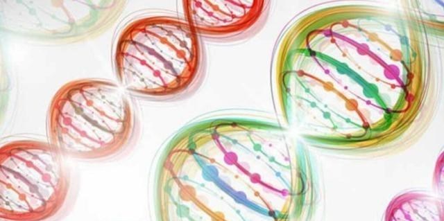 隔离 世界上如果没有生殖隔离，将会怎样？其实并非是好事！