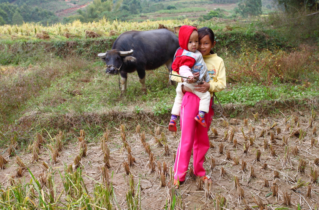 急诊室老苗|越穷越爱生孩子,理由还让你无法反驳,“穷生”的深层原因很现实