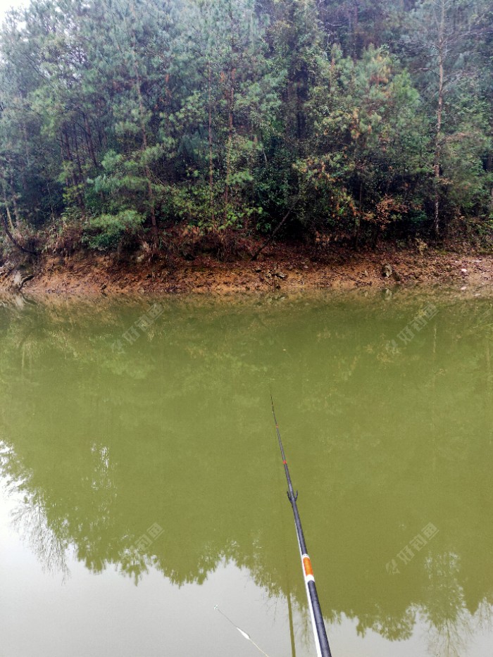 水库|今年最后一钓了，从新手到现在所有鱼获