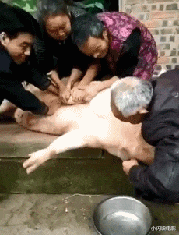 乔杉|神回复：乔杉如果在洗脚城被抓，会退出演艺圈吗？神评笑死人