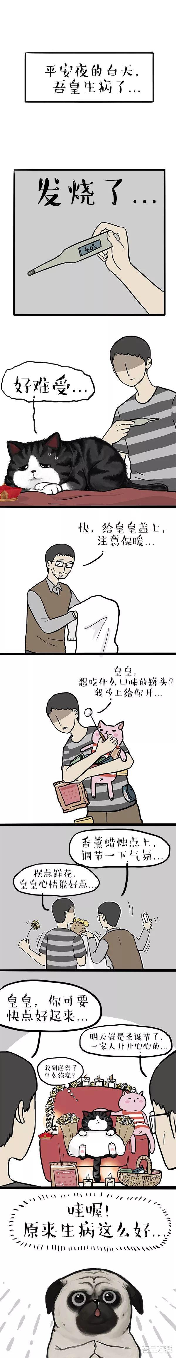 吾皇巴扎黑|吾皇巴扎黑：为你我受冷风吹，寂寞时候流眼泪。
