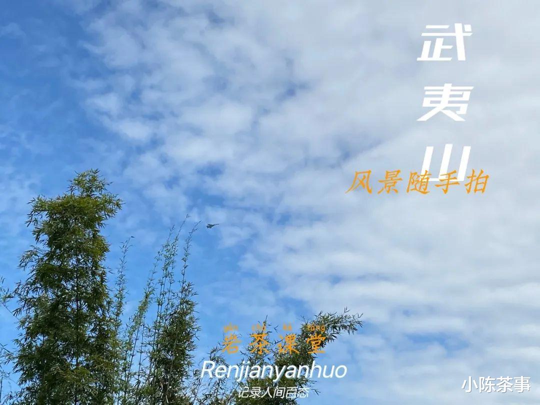 白茶|都是老茶，老白茶、老普洱贵如金，凭什么就陈年岩茶滞销堆积？