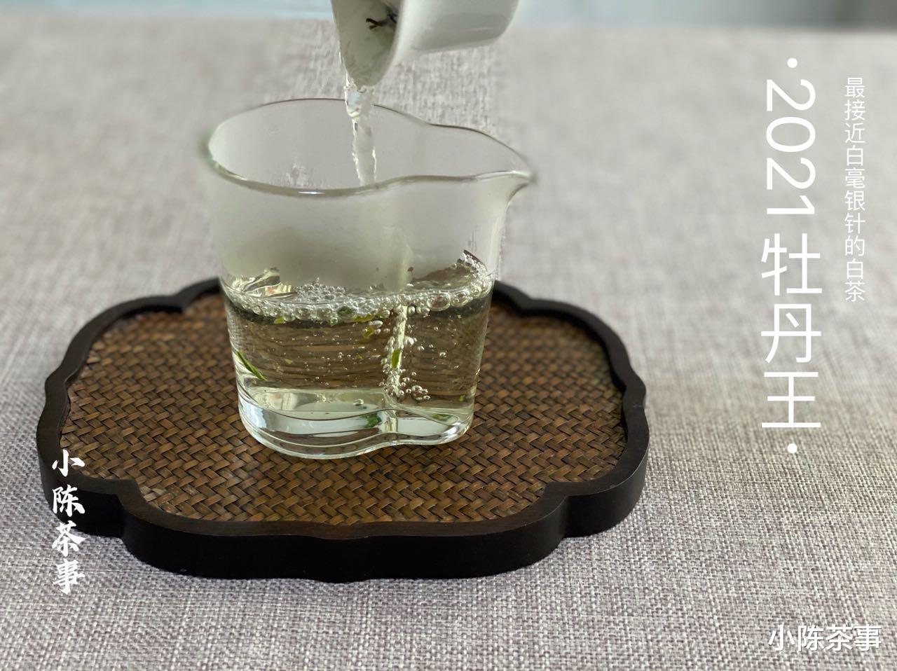 茶具|从白茶分类到茶具选择、冲泡方法,最全的白茶基础知识,快收藏!