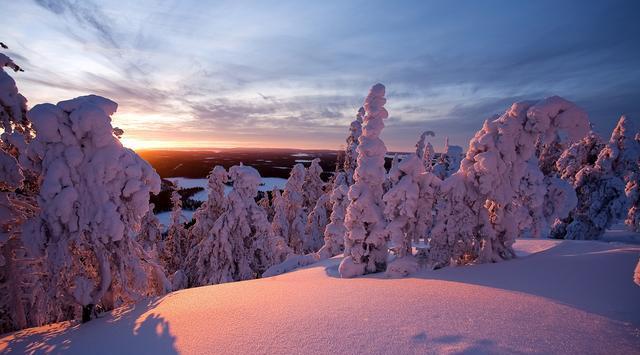 动力|这三个星座行动力满分，执行力强，状态佳，非常靠谱