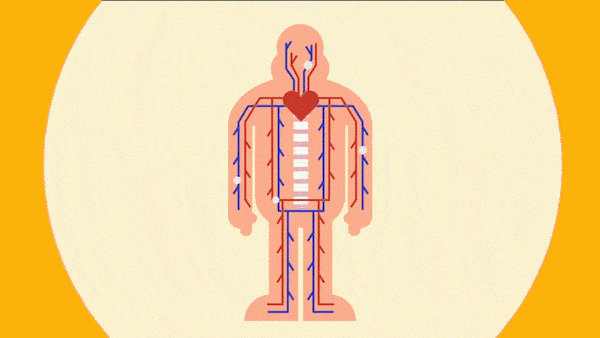 非小细胞肺癌 24小时工作的免疫细胞在干什么？
