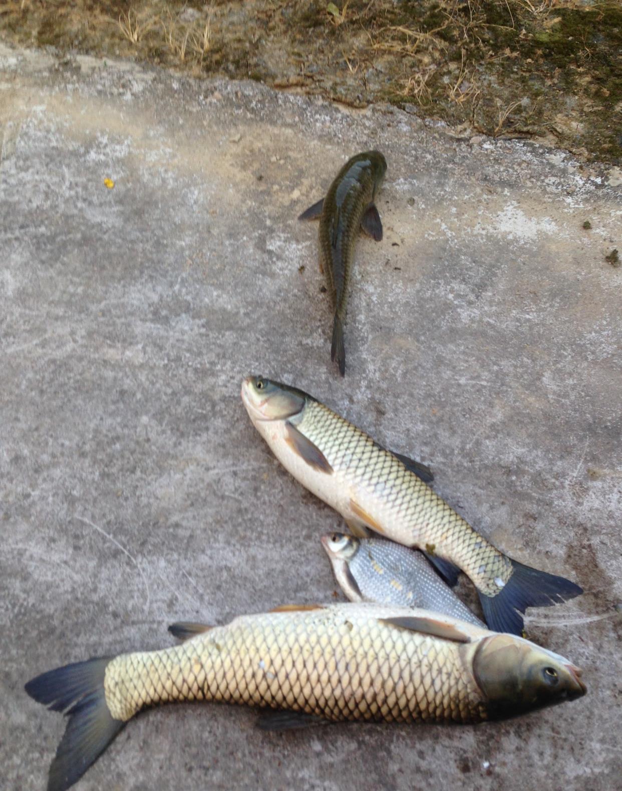 |短短十年，我成了家族中唯一的钓鱼人，不知道还能坚守多久？