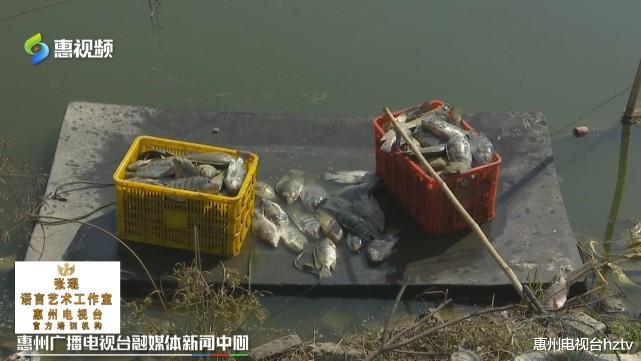 惠州电视台hztv 合同到期后拒绝搬迁 养鱼户被断电损失惨重