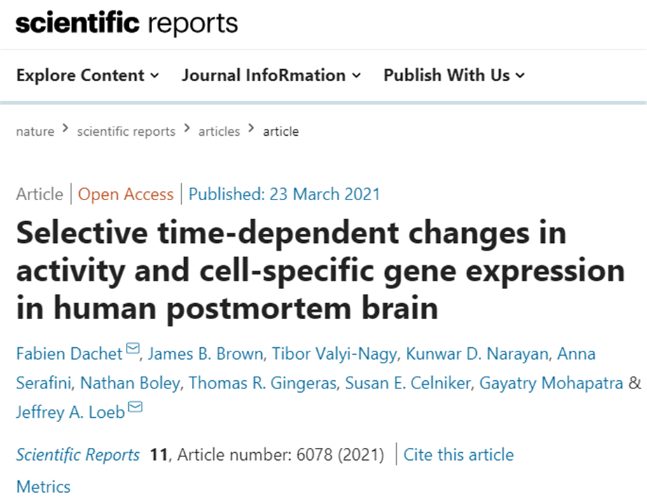 火星 人体存在“僵尸基因”？死后12小时活跃达到峰值，企图复活主人