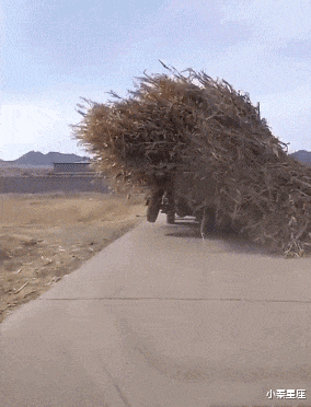 |搞笑GIF：100万一次，100万两次，好的后面大哥出500万，成交咣当...
