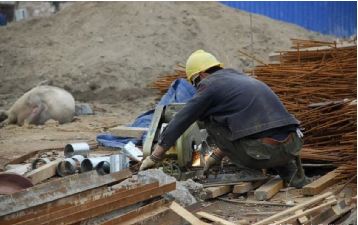 虾兵蟹酱说故事 “农民工”有了“新称号”！“贬义化”已不再，你知道是什么吗？