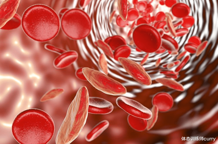 贫血|多吃猪肝能补血?医生提醒:想要改善贫血,不妨多吃这2物