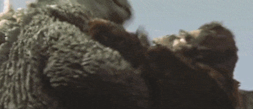 撞脸|《金刚VS哥斯拉》4天近5亿票房，为何金刚输，从这几点告诉你