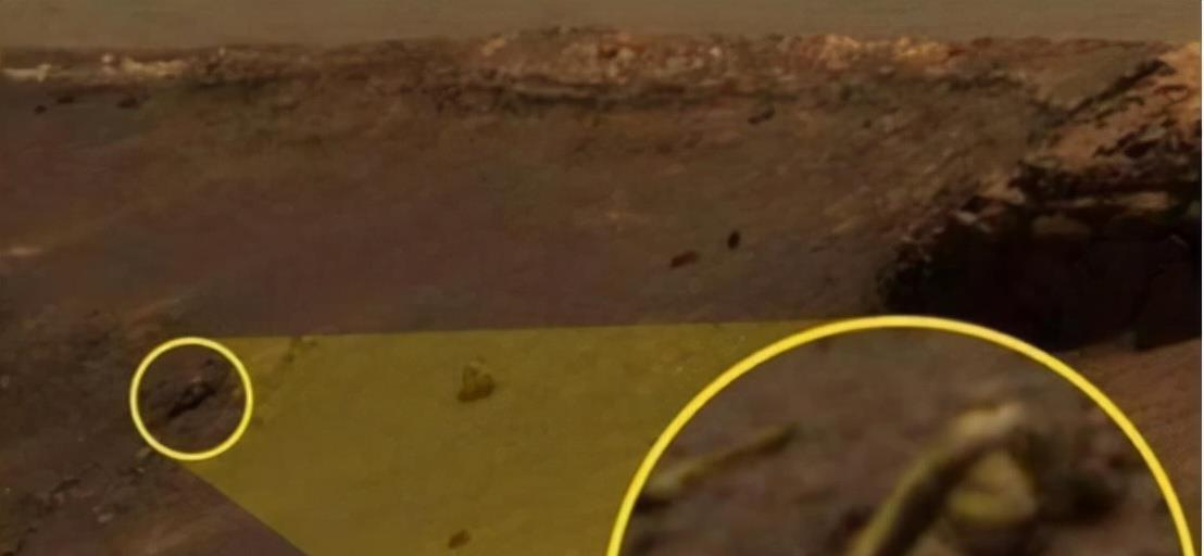 火星车很早就发现火星生命了?机遇号拍到“蜥蜴”,它到底是啥?