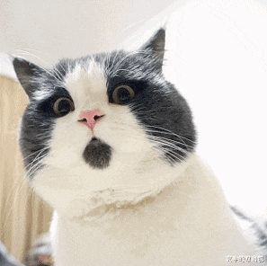 卡戴珊|比新娘还惊艳，41岁卡戴珊离婚后首当伴娘！宴会上单身狗全跪舔了...