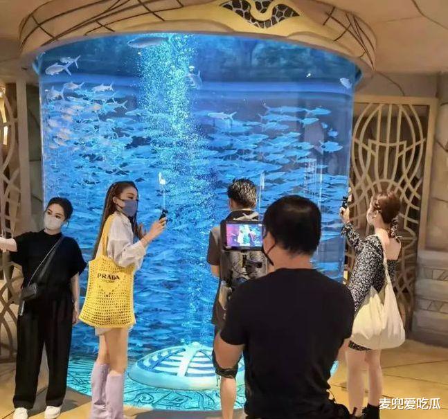 谢霆锋|网友路边偶遇谢霆锋？背双肩包酷似学生，却被调侃不是很高