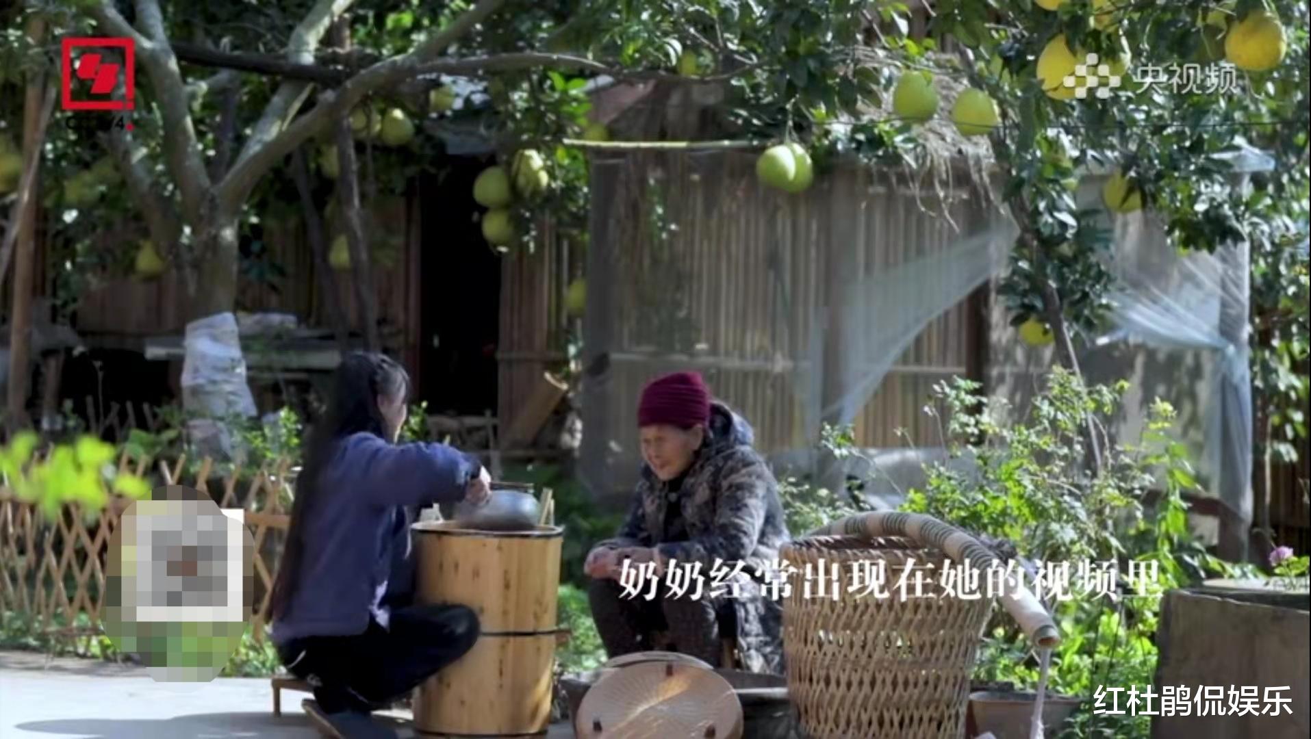 李子柒|李子柒接受鲁健专访，公开回应质疑，谈未来规划，全程有意识地侧面对镜头