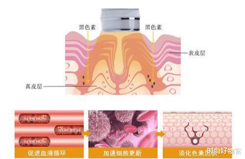 时尚好物官|嫁给比自己小五岁的老公,霍思燕的婚后甜蜜,皮肤状态让人羡慕