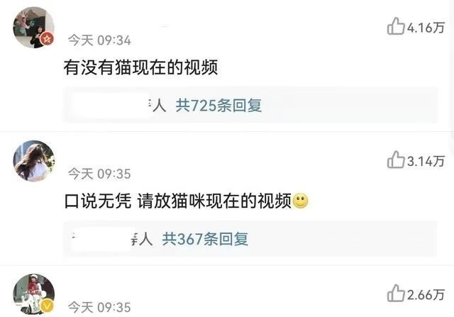 蒋勤勤|《当家主母》疑似虐猫致死？蒋勤勤发文回应，主要表达了4个意思