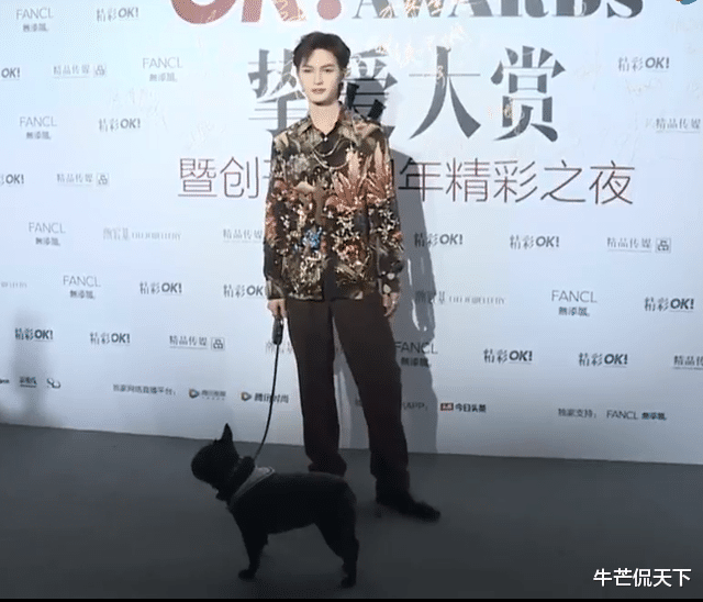 倪妮|请娱乐圈停止批量生产倪妮