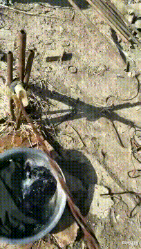 蜈蚣 神回复：为什么蜈蚣毒性很大，却对公鸡毫无作用呢？