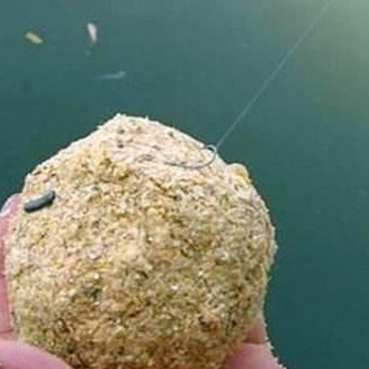 长江|黑坑钓鱼，鱼口不好？教你如何让黑坑鱼儿乖乖开口——盛世三渔