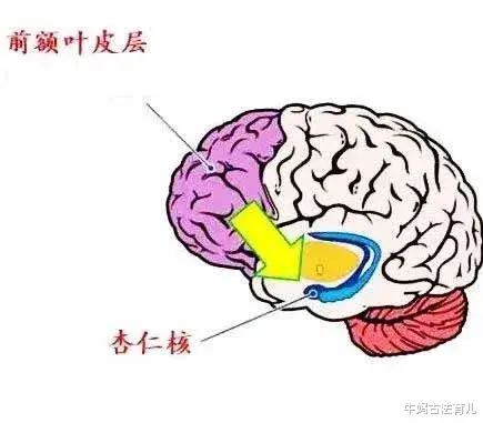 牛妈古法育儿|“双减”之下，如何培养孩子的自驱力?