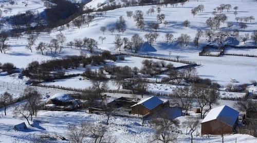 北方农村用暖气片要好于地暖?过来人:地暖有4个“明显短板”