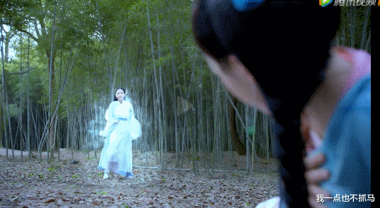 表情包|别再侮辱我们智商了