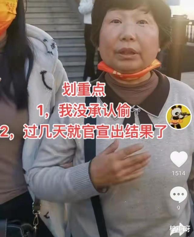 曝田静打算回九江买房,杜新枝到许敏单位闹事,回复偷孩子言论
