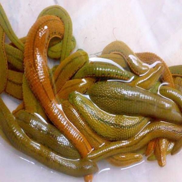 二氧化碳 它是八零后的噩梦，胆小的人被吓哭，却偏偏有人用它来治病