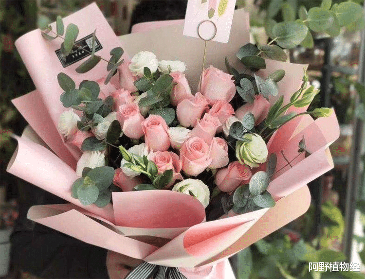 看望病人送什么花好?有4个方面需要考虑周全,这样才会送到心上