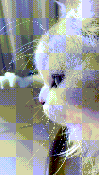 耳机|直到今天才知道ATM机上的耳机插孔是用来干嘛的了