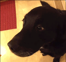 铭洋说育儿|神回复：我姓秦，出生那天刚好是爷爷60大寿，所以我叫？