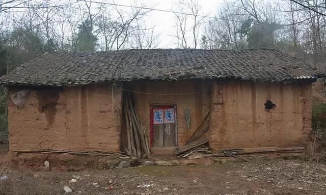 民国农村探案:丈夫在外,妻子在家被毒杀,凶手下毒手法让人瞠目