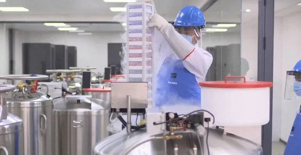  干细胞治疗到底可不可以