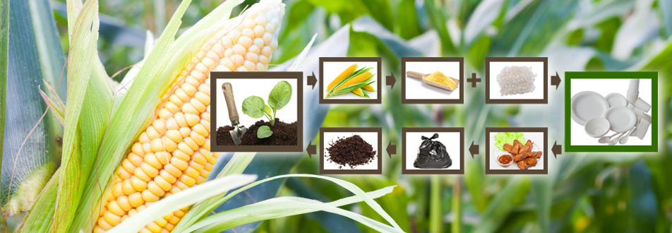 潘建伟 有人问我到底什么是全生物降解材料？